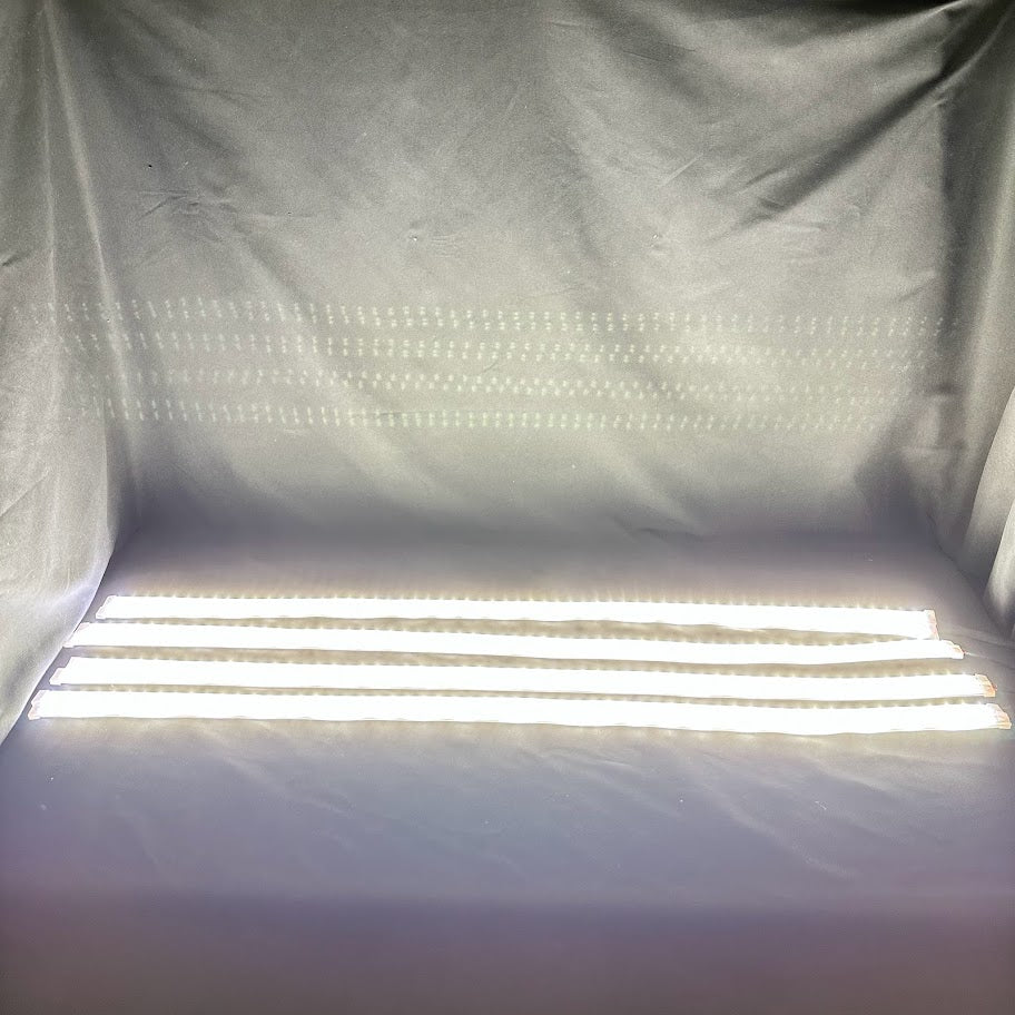 Quad Row White Portal Lights